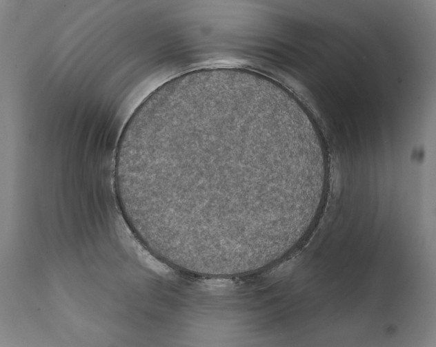 X0000111581186200908271028