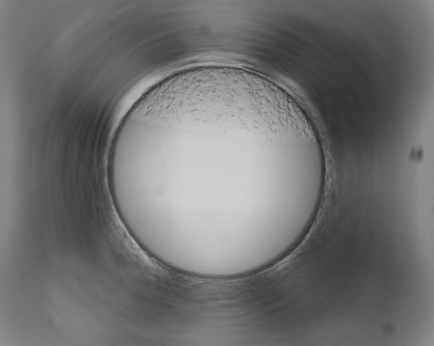 X0000111581188200908271028