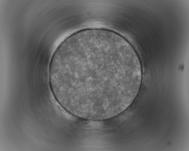 X0000111581191200908271028