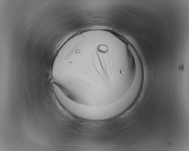 X0000111581193200908271028