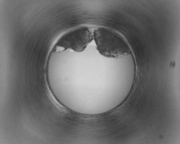 X0000111581195200908271028