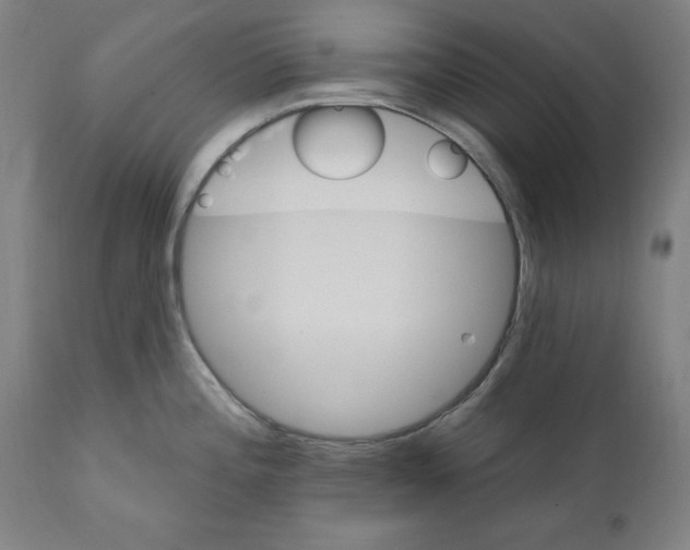 X0000111581196200908271028