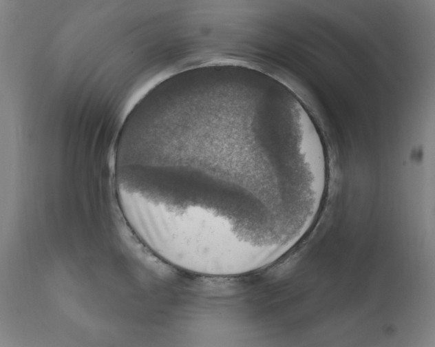 X0000111581198200908271028