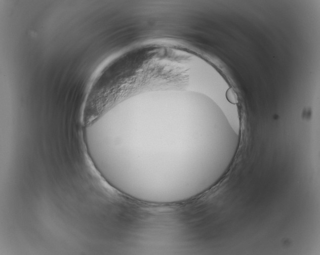 X0000111581199200908271028