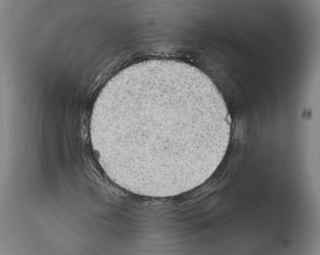 X0000111581202200908271027