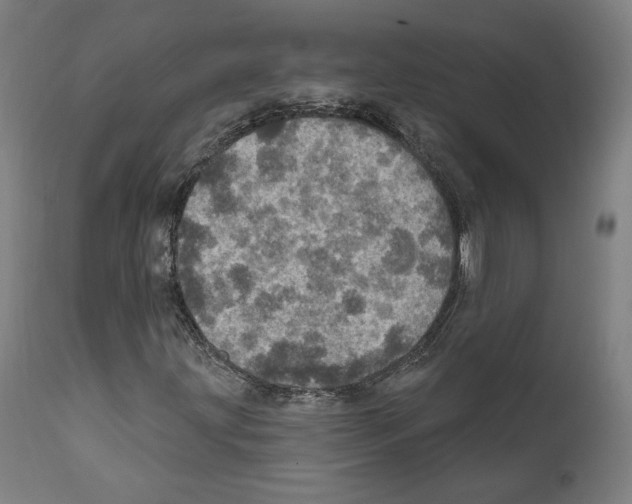 X0000111581203200908271027