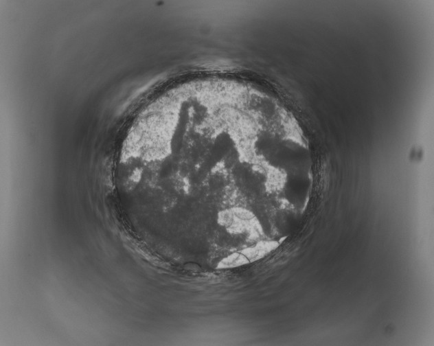 X0000111581205200908271027