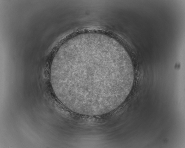 X0000111581207200908271027