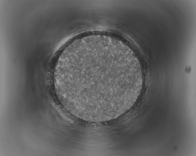 X0000111581208200908271027