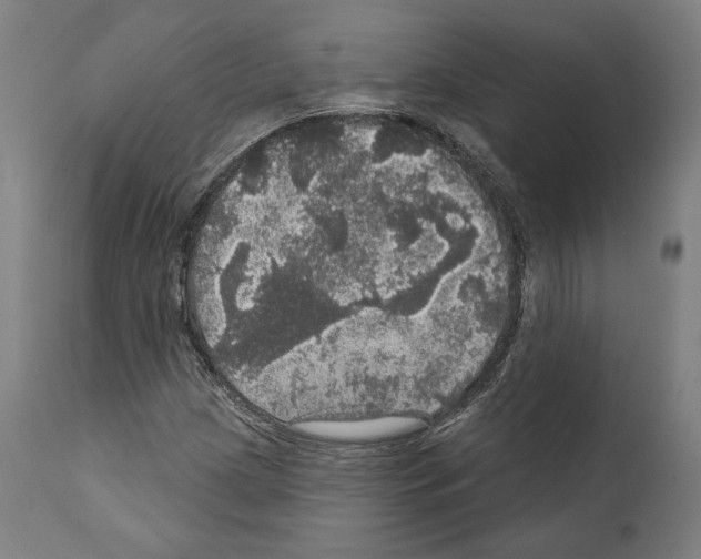 X0000111581209200908271027