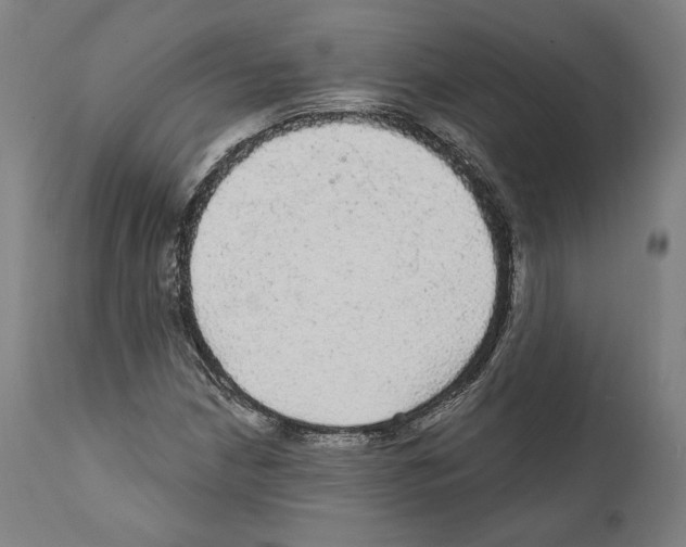 X0000111581210200908271027