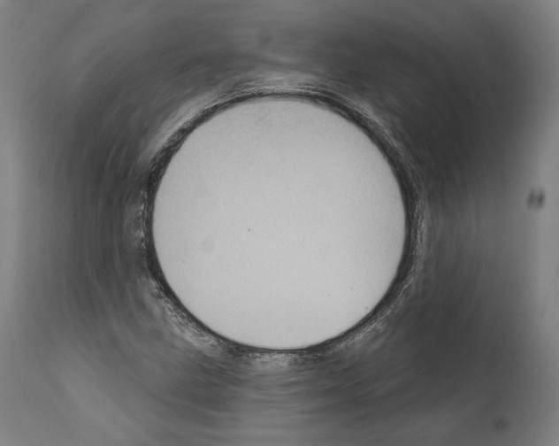 X0000111581211200908271027