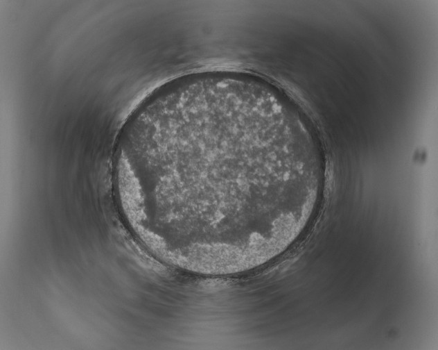 X0000111581212200908271027