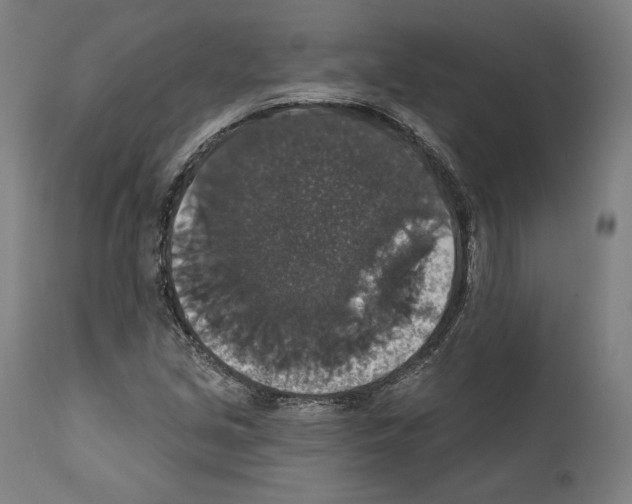 X0000111581213200908271027