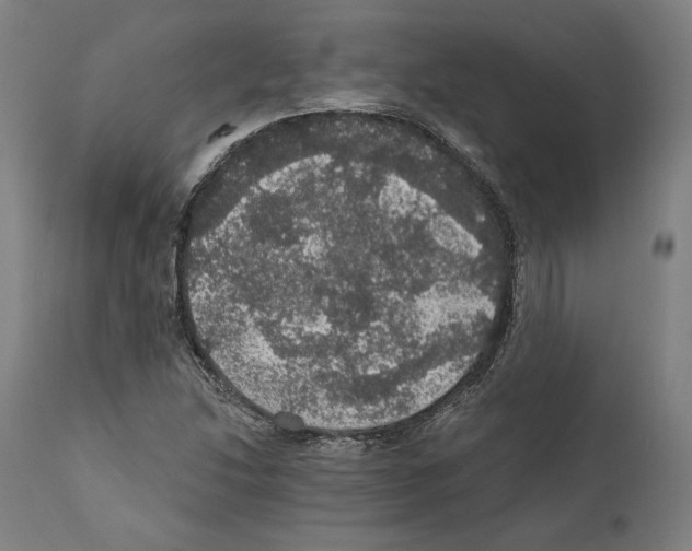 X0000111581214200908271027