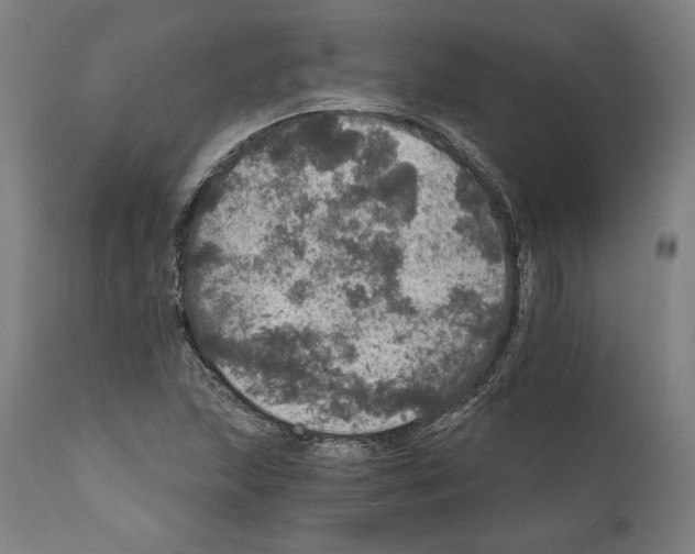 X0000111581215200908271027