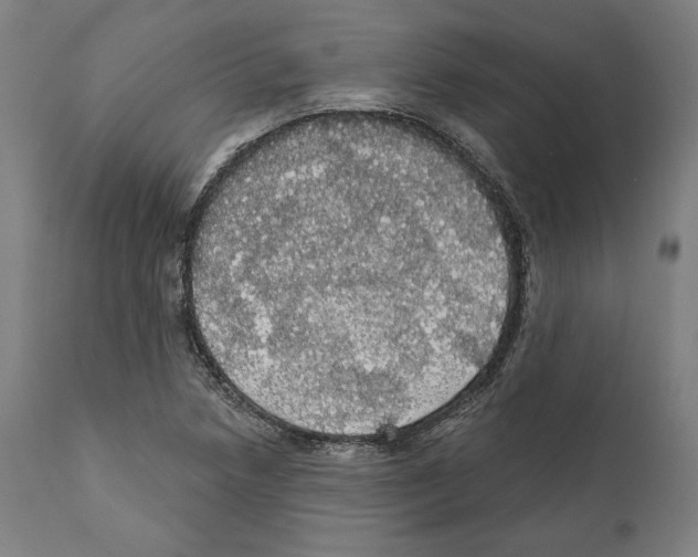 X0000111581218200908271027