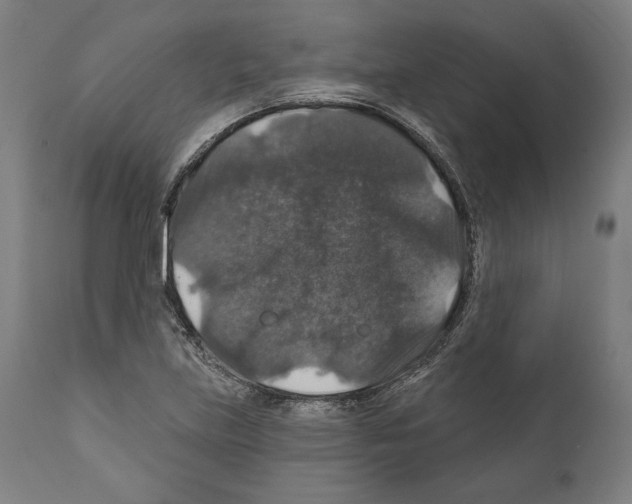 X0000111581219200908271027