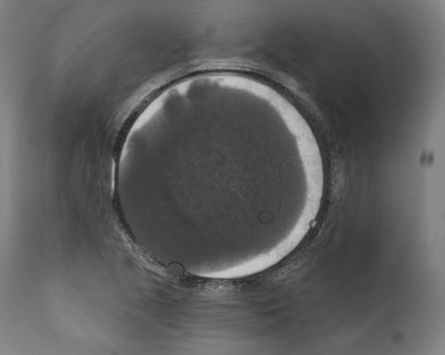 X0000111581221200908271028