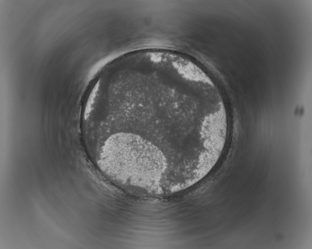 X0000111581222200908271028