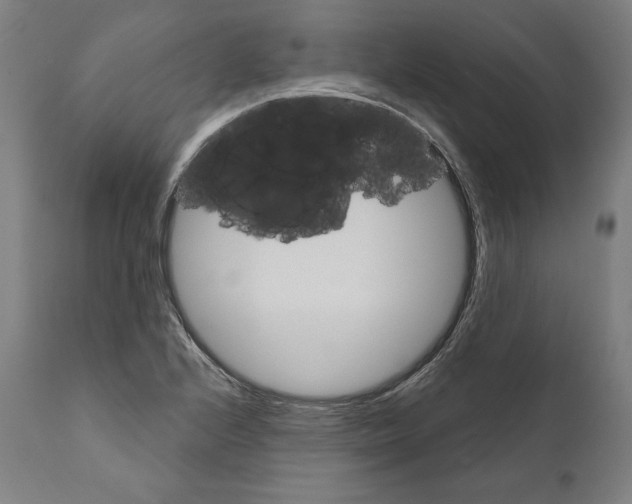 X0000111581224200908271028