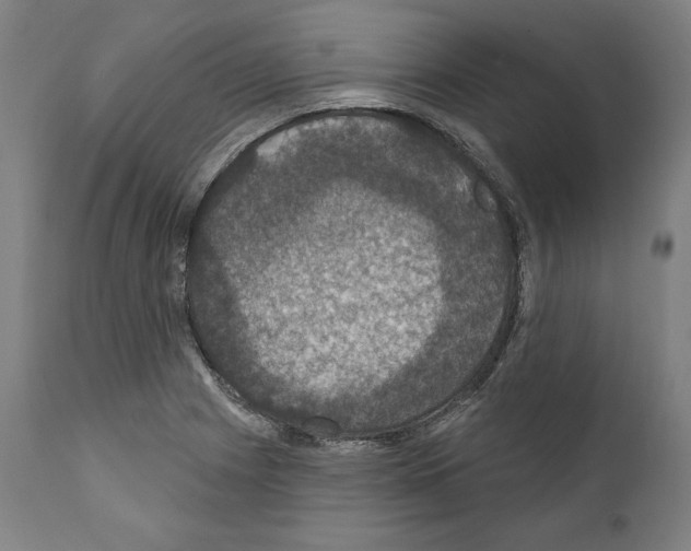 X0000111581225200908271028