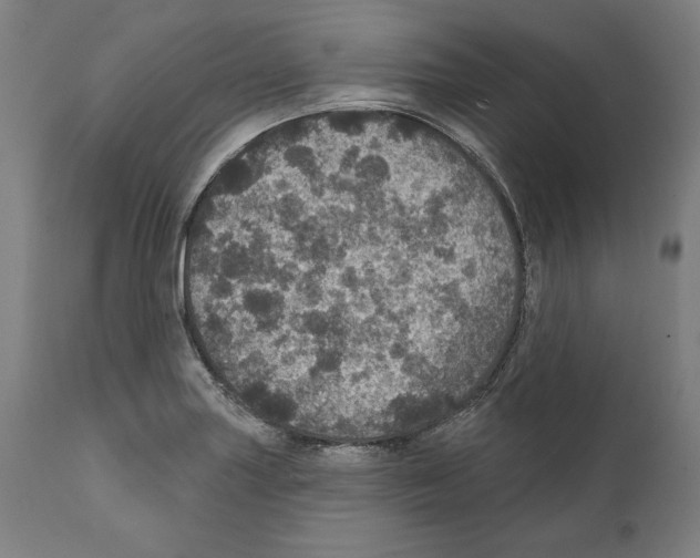 X0000111581227200908271028