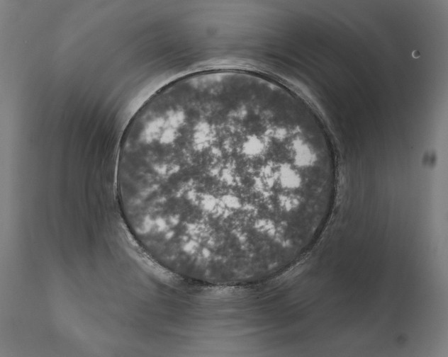 X0000111581228200908271028