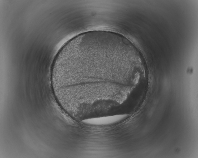 X0000111581230200908271028