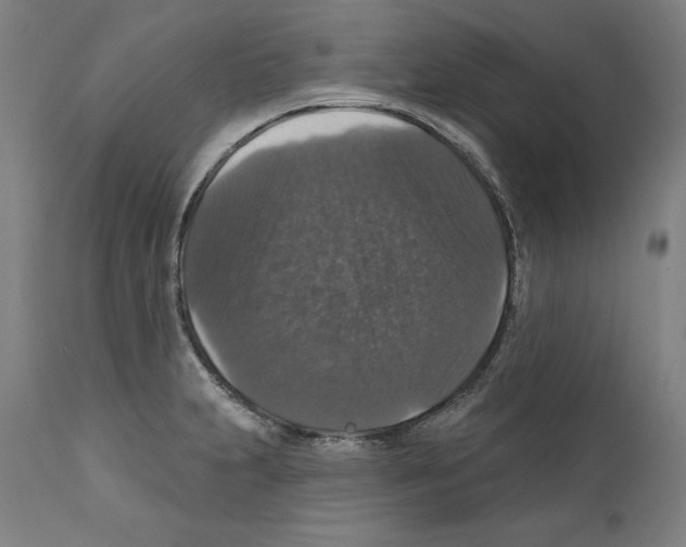 X0000111581231200908271028