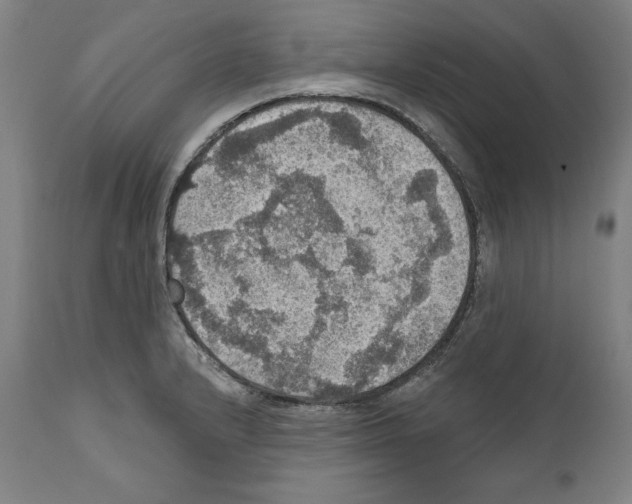 X0000111581232200908271028