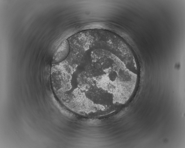 X0000111581233200908271028