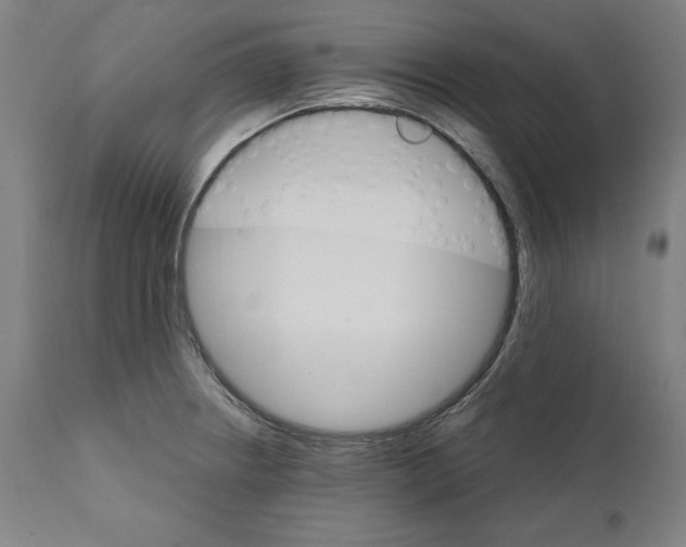 X0000111581234200908271028