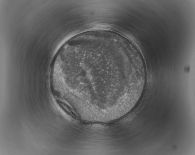 X0000111581235200908271028