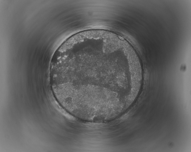 X0000111581236200908271028