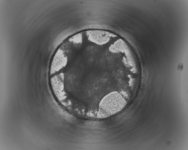 X0000111581237200908271028