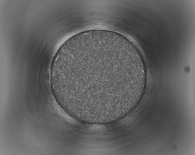 X0000111581238200908271028