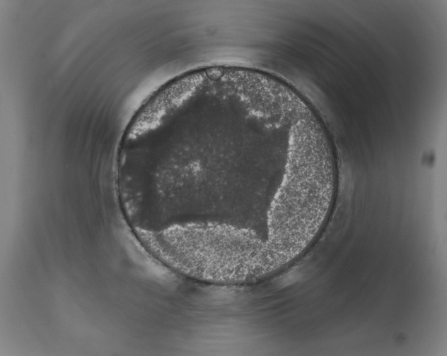 X0000111581240200908271028