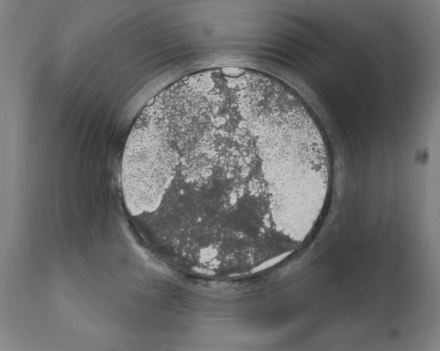 X0000111581241200908271028