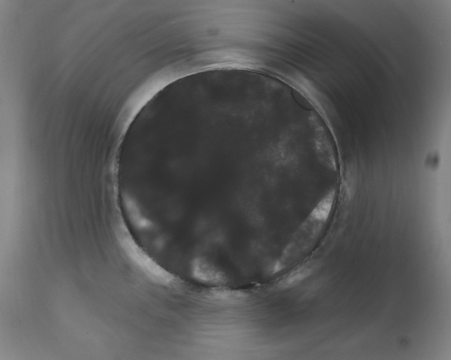 X0000111581243200908271028