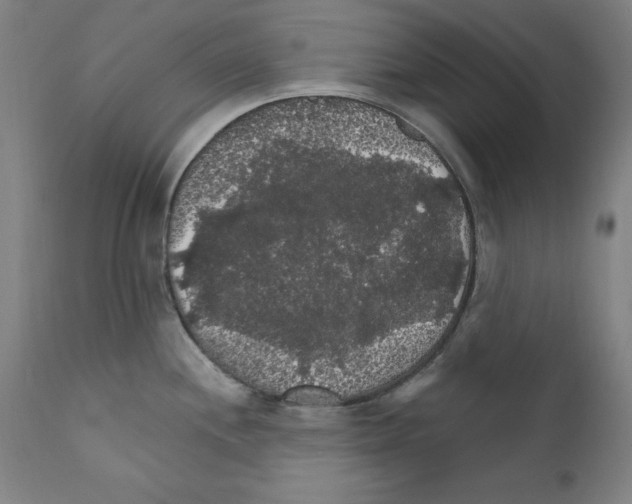 X0000111581244200908271028