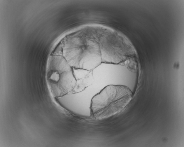 X0000111581245200908271028