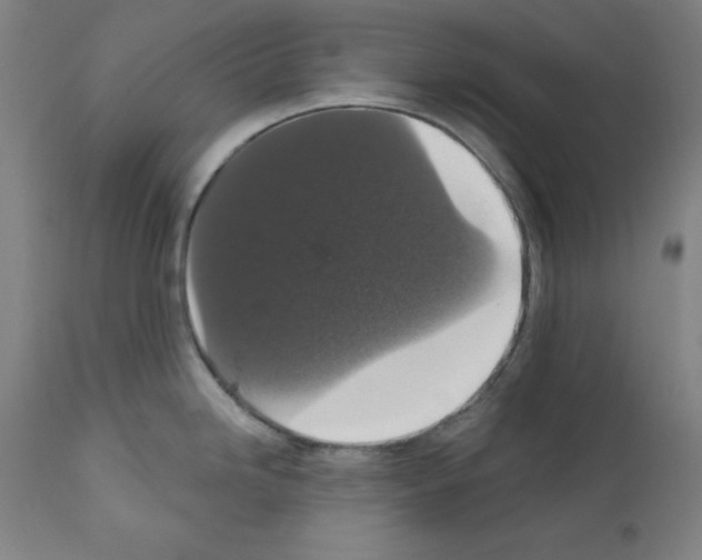 X0000111581246200908271028