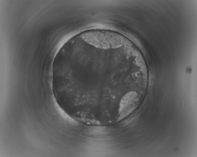 X0000111581247200908271028