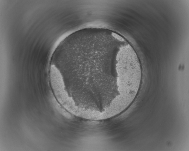 X0000111581248200908271028