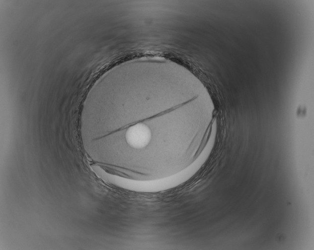 X0000111581249200908271027