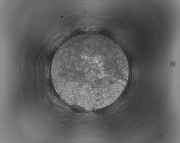 X0000111581250200908271027