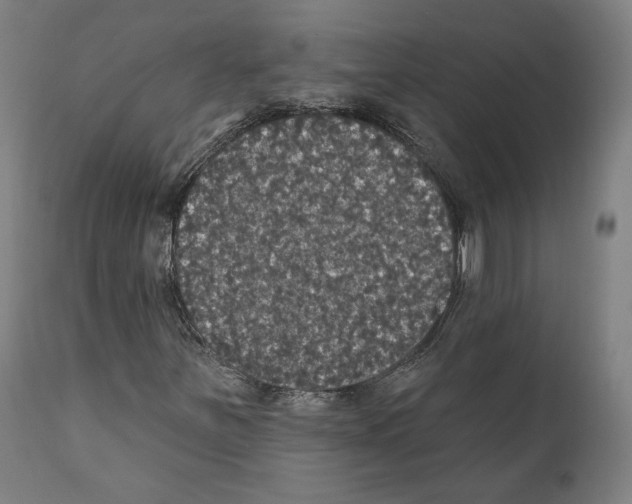 X0000111581251200908271027