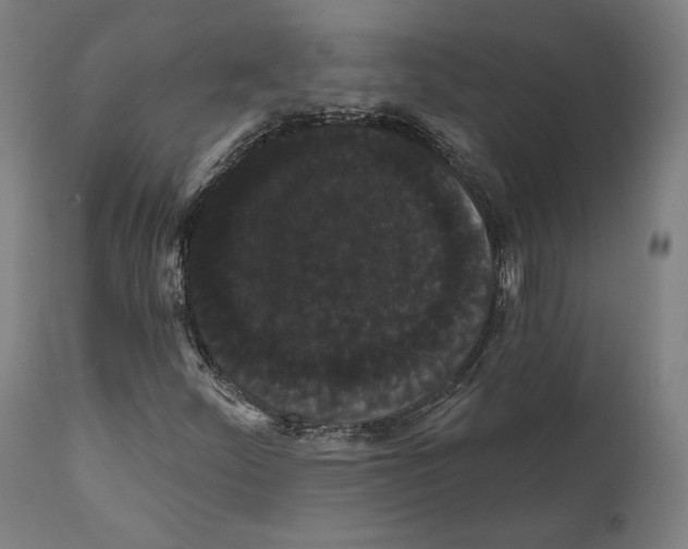 X0000111581252200908271027