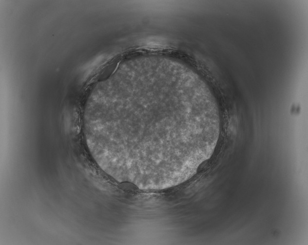 X0000111581253200908271027